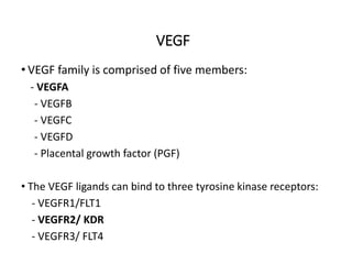 VEGF
• VEGF family is comprised of five members:
- VEGFA
- VEGFB
- VEGFC
- VEGFD
- Placental growth factor (PGF)
• The VEGF ligands can bind to three tyrosine kinase receptors:
- VEGFR1/FLT1
- VEGFR2/ KDR
- VEGFR3/ FLT4
 
