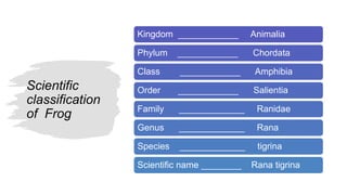 Chapter 3 | PPTX | Biological Sciences | Science