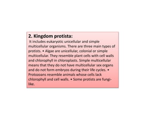 2. Kingdom protista:
It includes eukaryotic unicellular and simple
multicellular organisms. There are three main types of
protists. • Algae are unicellular, colonial or simple
multicellular. They resemble plant cells with cell walls
and chlorophyll in chloroplasts. Simple multicellular
means that they do not have multicellular sex organs
and do not form embryos during their life cycles. •
Protozoans resemble animals whose cells lack
chlorophyll and cell walls. • Some protists are fungi-
like.
 