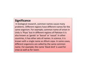 Significance
In biological research, common names cause many
problems. Different regions have different names for the
same organism. For example; common name of onion in
Urdu is ‘Piyaz’ but in different regions of Pakistan it is
also known as ‘ganda’ or ‘bassal’ or ‘vassal’. In other
countries, it has other sets of names. In science, it is
known with a single name as Allium cepa. In some cases,
different organisms are called by the same common
name. For example; the name ‘black bird’ is used for
crow as well as for raven.
 