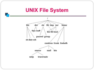 UNIX File System
Introduction to Linux
 