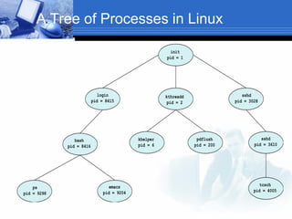 A Tree of Processes in Linux
init
pid = 1
sshd
pid = 3028
login
pid = 8415
kthreadd
pid = 2
sshd
pid = 3610
pdflush
pid = 200
khelper
pid = 6
tcsch
pid = 4005
emacs
pid = 9204
bash
pid = 8416
ps
pid = 9298
 