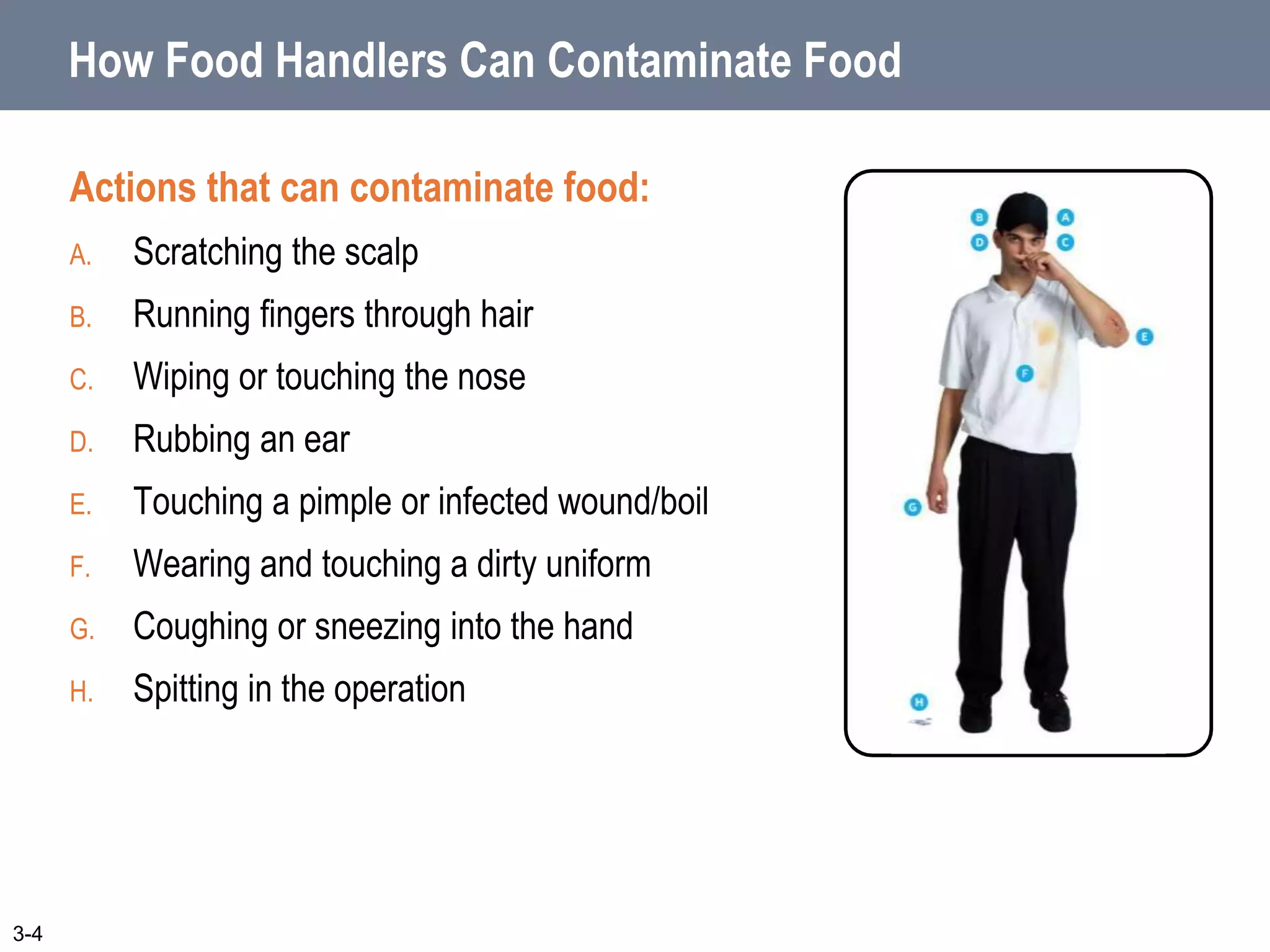 How Food Handlers Can Contaminate Food
Actions that can contaminate food:
A. Scratching the scalp
B. Running fingers through hair
C. Wiping or touching the nose
D. Rubbing an ear
E. Touching a pimple or infected wound/boil
F. Wearing and touching a dirty uniform
G. Coughing or sneezing into the hand
H. Spitting in the operation
3-4
 