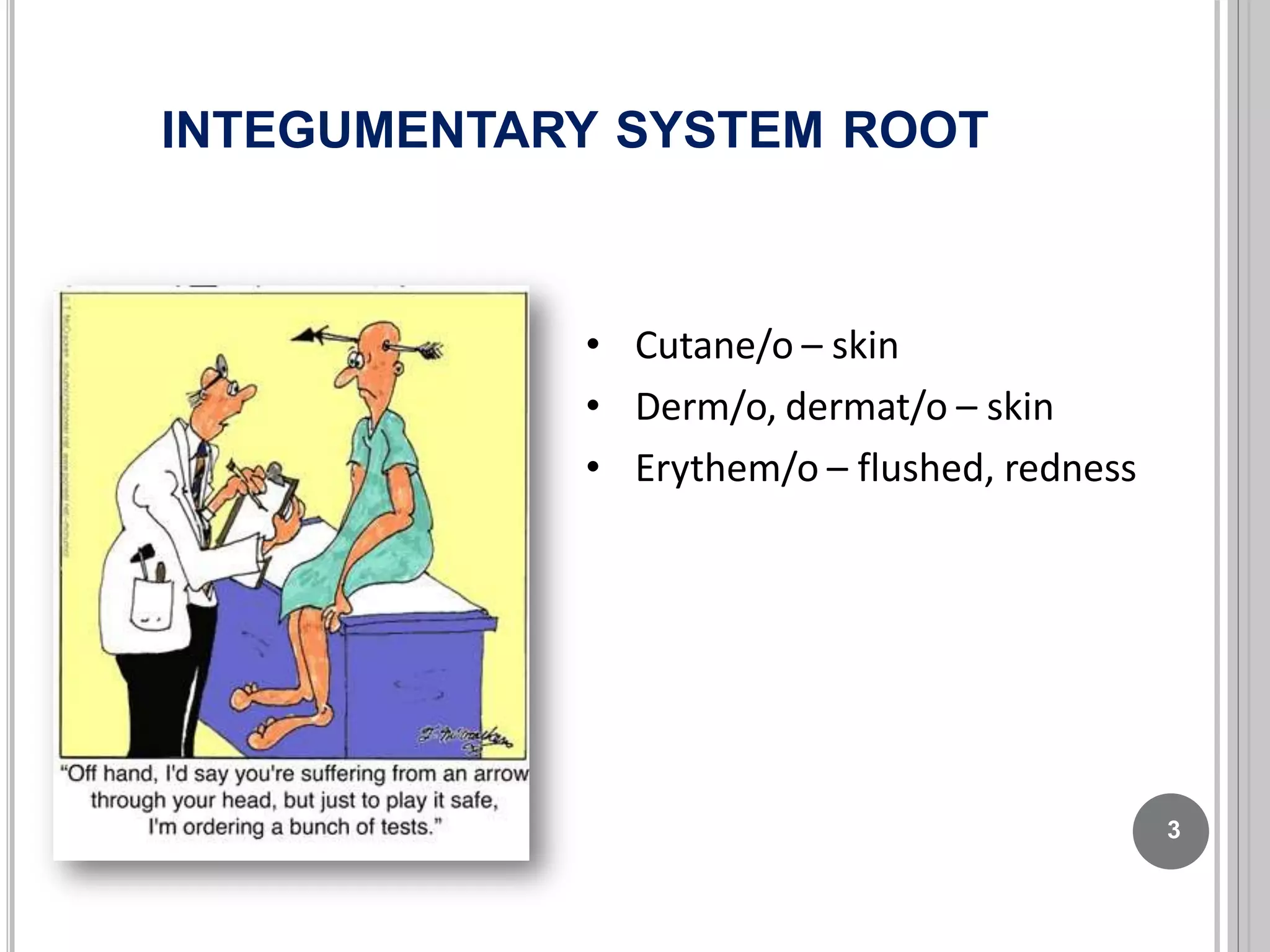 medical terminology | PPTX