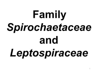 Family
Spirochaetaceae
and
Leptospiraceae
1
 
