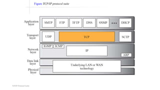 TCP/IP Protocol Suite
Figure TCP/IP protocol suite
 