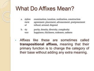 Transpositional Function CHAPTER 3. Lexeme Formation (Morphology (Linguistics) | PPTX