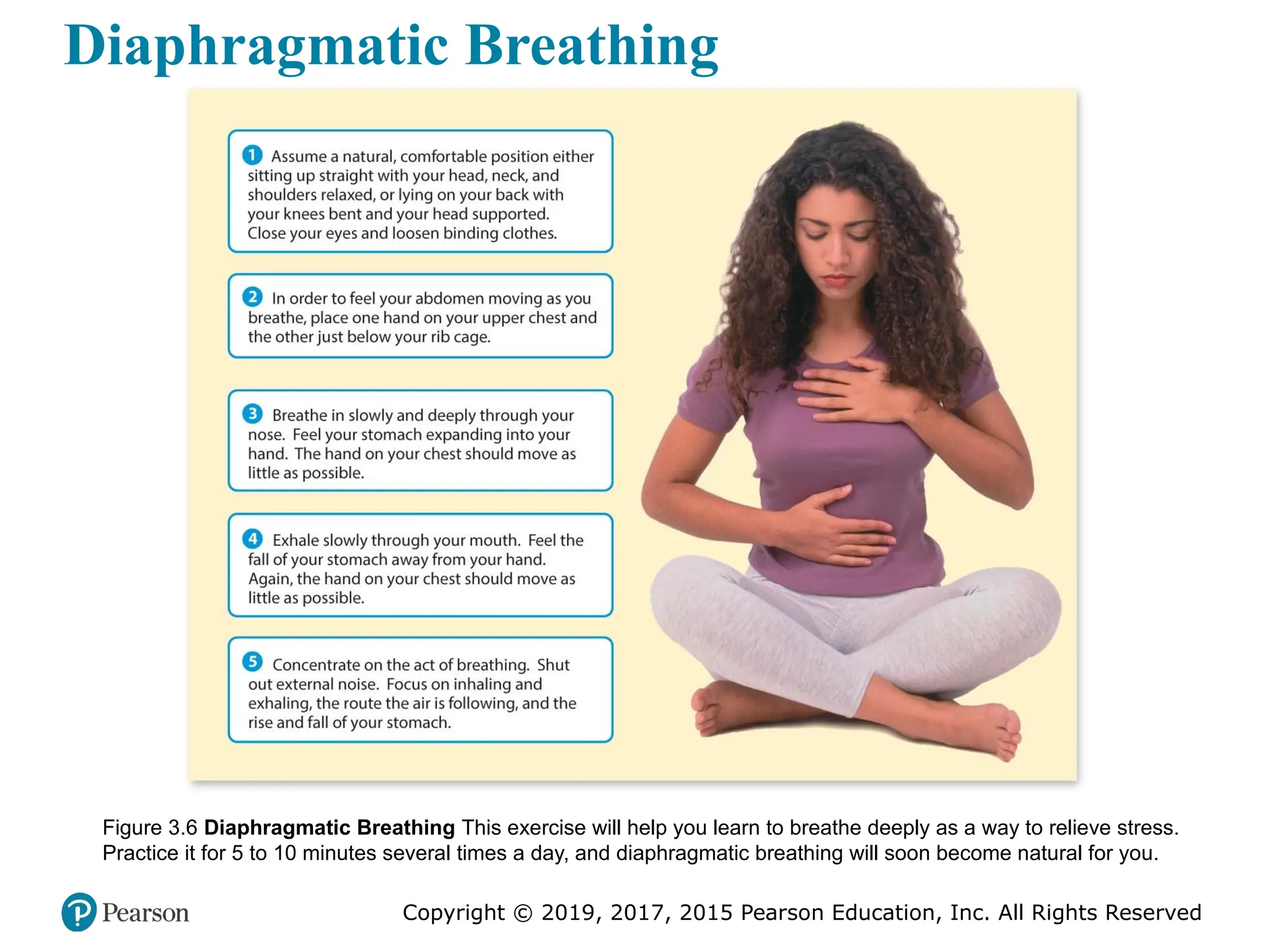 Copyright © 2019, 2017, 2015 Pearson Education, Inc. All Rights Reserved
Diaphragmatic Breathing
Figure 3.6 Diaphragmatic Breathing This exercise will help you learn to breathe deeply as a way to relieve stress.
Practice it for 5 to 10 minutes several times a day, and diaphragmatic breathing will soon become natural for you.
 