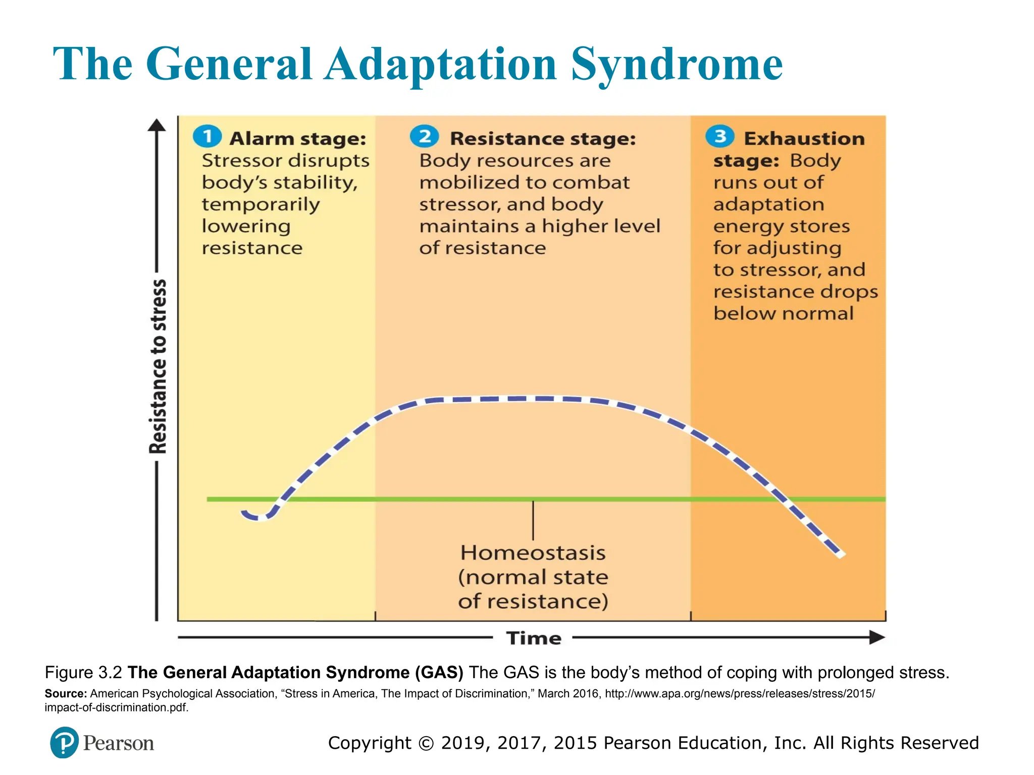 Copyright © 2019, 2017, 2015 Pearson Education, Inc. All Rights Reserved
The General Adaptation Syndrome
Figure 3.2 The General Adaptation Syndrome (GAS) The GAS is the body’s method of coping with prolonged stress.
Source: American Psychological Association, “Stress in America, The Impact of Discrimination,” March 2016, http://www.apa.org/news/press/releases/stress/2015/
impact-of-discrimination.pdf.
 