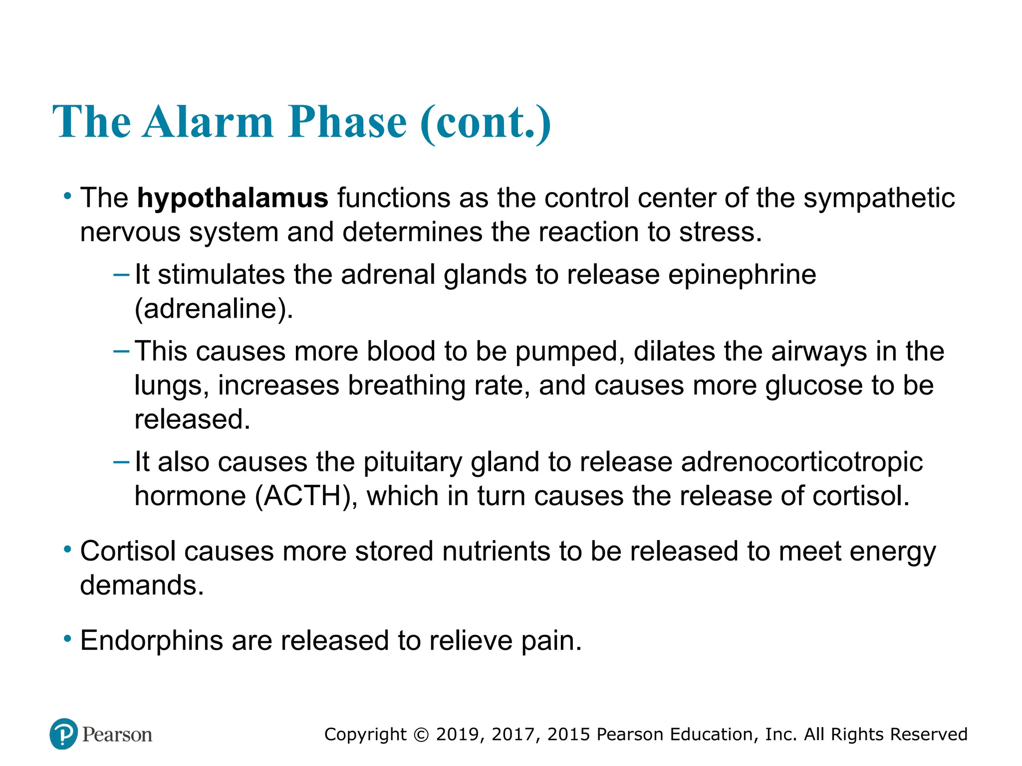 Copyright © 2019, 2017, 2015 Pearson Education, Inc. All Rights Reserved
The Alarm Phase (cont.)
• The hypothalamus functions as the control center of the sympathetic
nervous system and determines the reaction to stress.
– It stimulates the adrenal glands to release epinephrine
(adrenaline).
– This causes more blood to be pumped, dilates the airways in the
lungs, increases breathing rate, and causes more glucose to be
released.
– It also causes the pituitary gland to release adrenocorticotropic
hormone (ACTH), which in turn causes the release of cortisol.
• Cortisol causes more stored nutrients to be released to meet energy
demands.
• Endorphins are released to relieve pain.
 