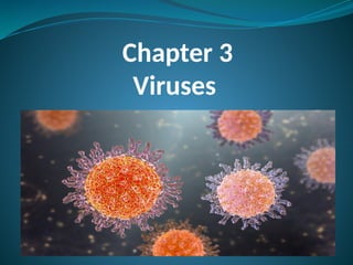 Chapter 3.. Viruses.pptx pharmD 2nd proff notes | PPTX