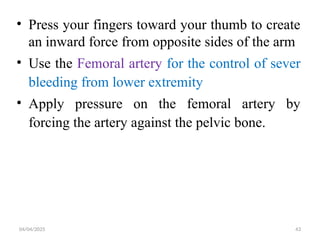 04/04/2025 43
• Press your fingers toward your thumb to create
an inward force from opposite sides of the arm
• Use the Femoral artery for the control of sever
bleeding from lower extremity
• Apply pressure on the femoral artery by
forcing the artery against the pelvic bone.
 
