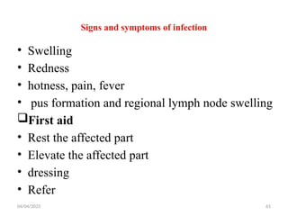 04/04/2025 61
Signs and symptoms of infection
• Swelling
• Redness
• hotness, pain, fever
• pus formation and regional lymph node swelling
First aid
• Rest the affected part
• Elevate the affected part
• dressing
• Refer
 