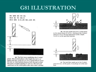 G81 ILLUSTRATION
 