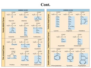 CHAPTER 3.pptx structure and function of amino acid and protein | PPTX