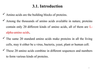 CHAPTER 3.pptx structure and function of amino acid and protein | PPTX