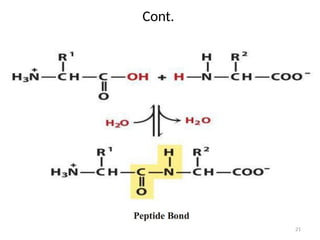 CHAPTER 3.pptx structure and function of amino acid and protein | PPTX