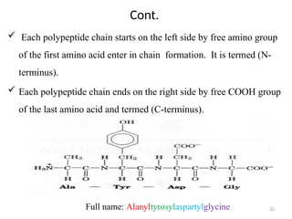 CHAPTER 3.pptx structure and function of amino acid and protein | PPTX