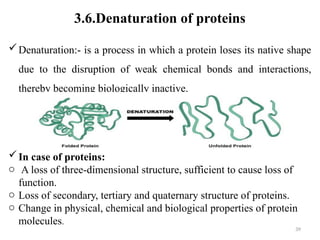 CHAPTER 3.pptx structure and function of amino acid and protein | PPTX