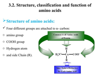 CHAPTER 3.pptx structure and function of amino acid and protein | PPTX