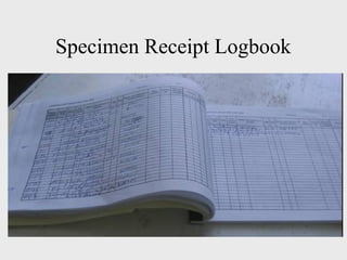 laboratory specimen management and sample integrity | PPTX