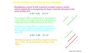 Chapter11-dual-nature-of-radiation-and-matter | PPTX