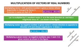 Chapter11-dual-nature-of-radiation-and-matter | PPTX