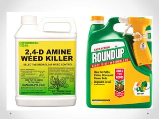 Comprehensive Guide to Integrated Weed Management: Strategies and ...