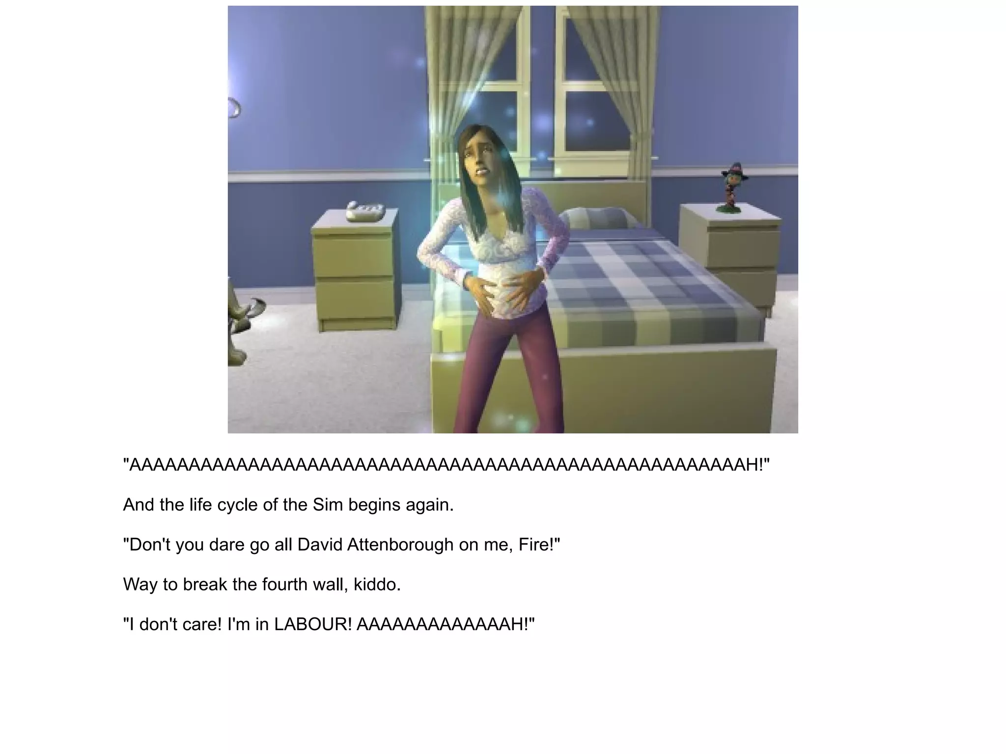"AAAAAAAAAAAAAAAAAAAAAAAAAAAAAAAAAAAAAAAAAAAAAAAAAAAAH!" And the life cycle of the Sim begins again. "Don't you dare go all David Attenborough on me, Fire!" Way to break the fourth wall, kiddo. "I don't care! I'm in LABOUR! AAAAAAAAAAAAAH!" 