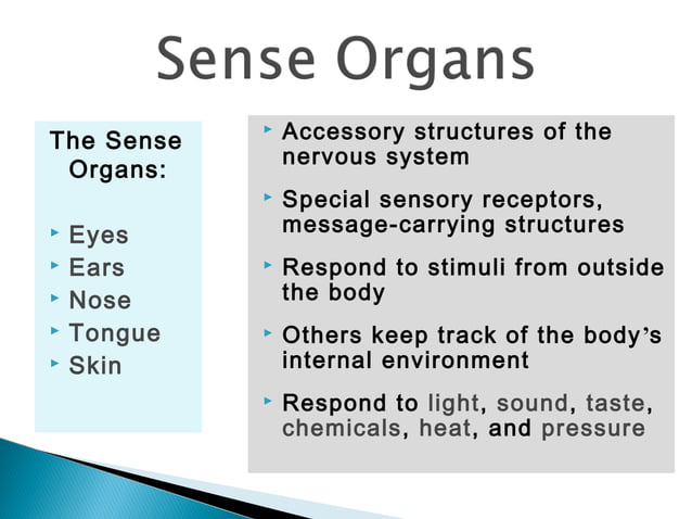 Chapter 3 anatomy and physiology | PPT