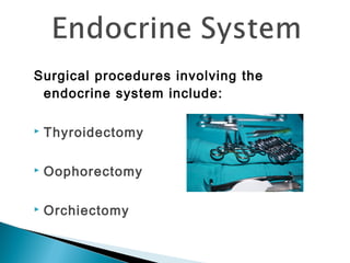 chapter-3-anatomy-and-physiology-ppt