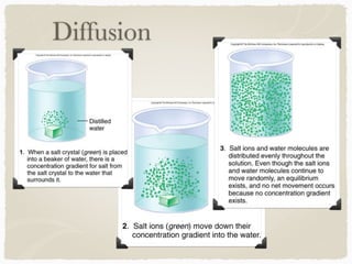 Diffusion
 