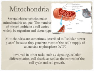 Mitochondria
Several characteristics make
mitochondria unique. The number
of mitochondria in a cell varies
widely by organism and tissue type
Mitochondria are sometimes described as "cellular power
plants" because they generate most of the cell's supply of
adenosine triphosphate (ATP)
involved in other tasks such as signaling, cellular
diﬀerentiation, cell death, as well as the control of the
cell cycle and cell growth.
 