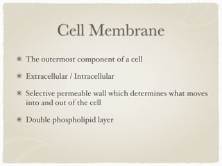 Cell Membrane
The outermost component of a cell
Extracellular / Intracellular
Selective permeable wall which determines what moves
into and out of the cell
Double phospholipid layer
 