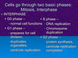 Cells go through two basic phases:  Mitosis, Interphase INTERPHASE G0 phase – normal cell functions  G1 phase – prepares for cell division,  duplicates organelles,  centriole replication  S phase –  DNA replication Chromosome duplication  G2 phase –  protein synthesis,  centriole replication completed 