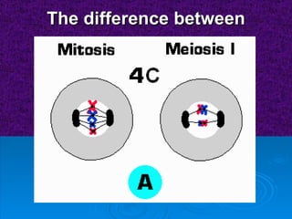 The difference between 