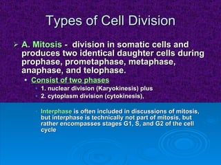 Types of Cell Division A. Mitosis  -  division in somatic cells and produces two identical daughter cells during prophase, prometaphase, metaphase, anaphase, and telophase. Consist of two phases 1. nuclear division (Karyokinesis) plus  2. cytoplasm division (cytokinesis),  Interphase  is often included in discussions of mitosis, but interphase is technically not part of mitosis, but rather encompasses stages G1, S, and G2 of the cell cycle   