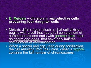 B. Meiosis  – division in reproductive cells producing four daughter cells Meiosis differs from mitosis in that cell division begins with a cell that has a full complement of chromosomes and ends with  gamete cells , such as  sperm and eggs , that have only half the complement of chromosomes.  When a sperm and egg unite during fertilization, the cell resulting from the union, called a  zygote , contains the full number of chromosomes 