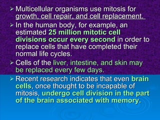 Multicellular organisms use mitosis for  growth, cell repair, and cell replacement.  In the human body, for example, an estimated  25 million mitotic cell divisions occur every second  in order to replace cells that have completed their normal life cycles.  Cells of the  liver, intestine, and skin may be replaced every few days.   Recent research indicates that even  brain cells , once thought to be incapable of mitosis,  undergo cell division in the part of the brain associated with memory. 