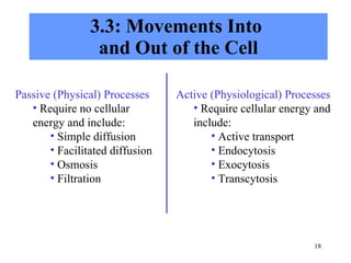 3.3: Movements Into  and Out of the Cell Passive (Physical) Processes Require no cellular energy and include: Simple diffusion Facilitated diffusion Osmosis Filtration Active (Physiological) Processes Require cellular energy and include: Active transport Endocytosis Exocytosis Transcytosis 