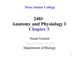 2401  Anatomy and Physiology I Chapter 3 Susan Gossett [email_address] Department of Biology Paris Junior College 