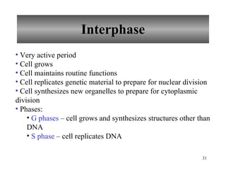 Interphase Very active period Cell grows Cell maintains routine functions Cell replicates genetic material to prepare for nuclear division Cell synthesizes new organelles to prepare for cytoplasmic division Phases: G phases  – cell grows and synthesizes structures other than DNA S phase  – cell replicates DNA 