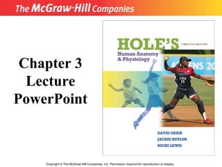 Copyright  ©  The McGraw-Hill Companies, Inc. Permission required for reproduction or display. Chapter 3 Lecture PowerPoint 
