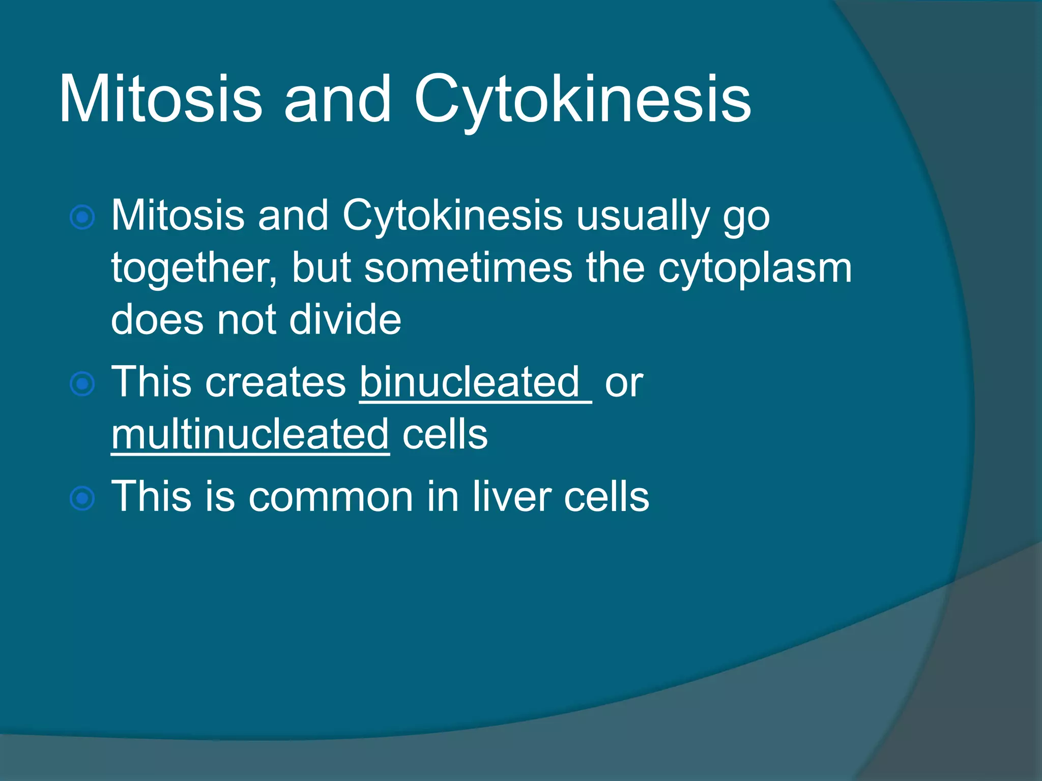 Mitosis and Cytokinesis
 Mitosis and Cytokinesis usually go
together, but sometimes the cytoplasm
does not divide
 This creates binucleated or
multinucleated cells
 This is common in liver cells
 
