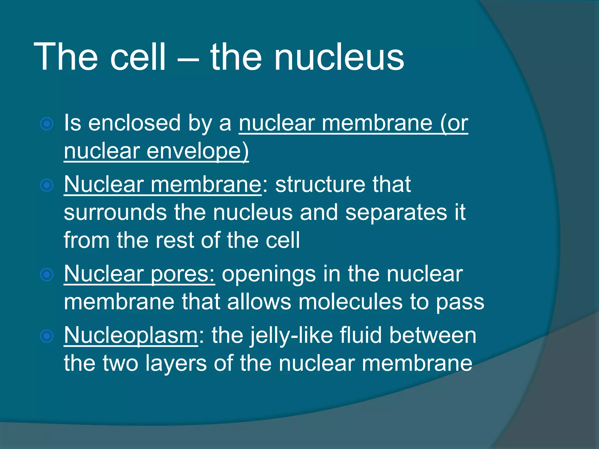 The cell – the nucleus
 Is enclosed by a nuclear membrane (or
nuclear envelope)
 Nuclear membrane: structure that
surrounds the nucleus and separates it
from the rest of the cell
 Nuclear pores: openings in the nuclear
membrane that allows molecules to pass
 Nucleoplasm: the jelly-like fluid between
the two layers of the nuclear membrane
 