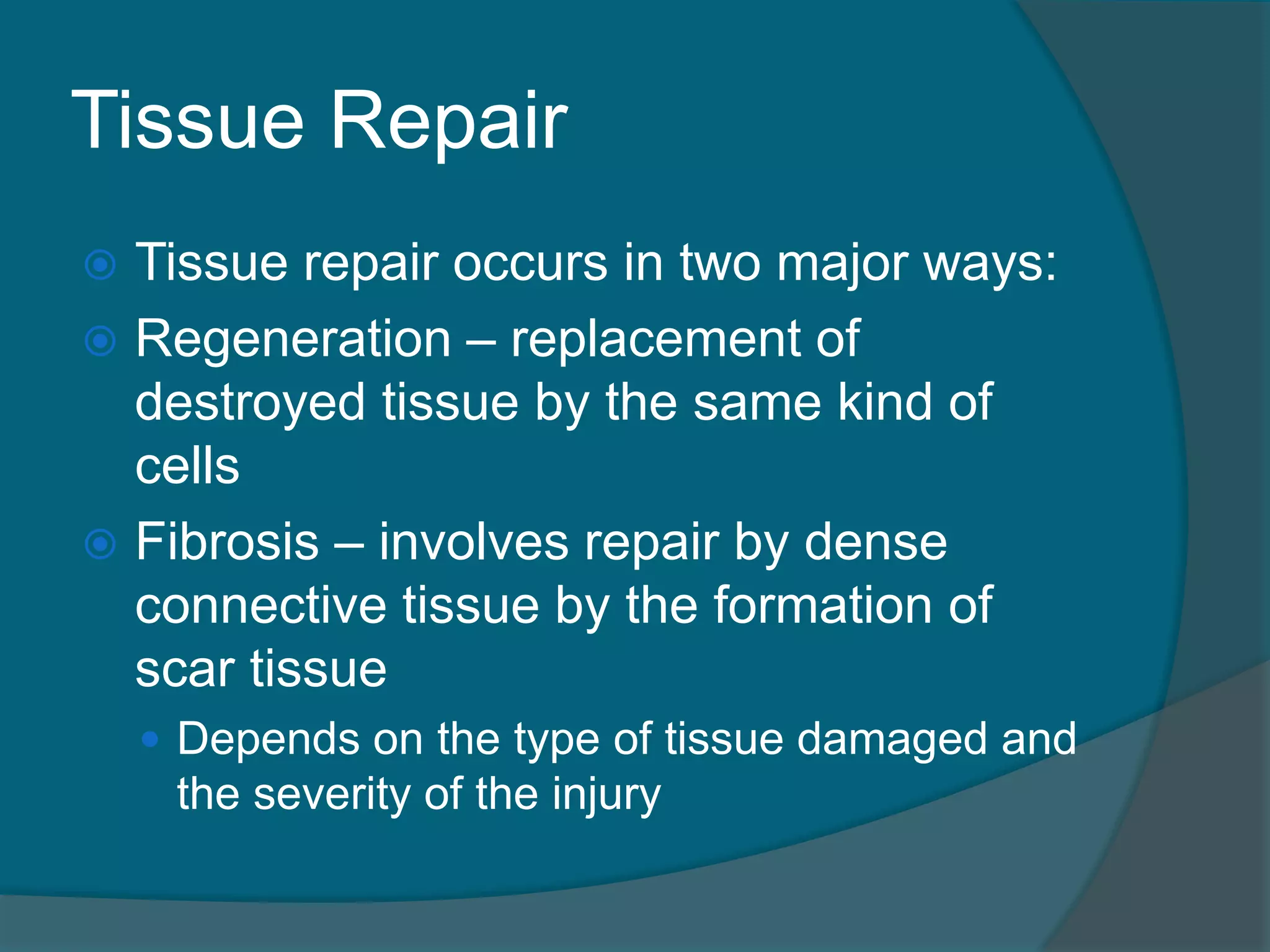Tissue Repair
 Tissue repair occurs in two major ways:
 Regeneration – replacement of
destroyed tissue by the same kind of
cells
 Fibrosis – involves repair by dense
connective tissue by the formation of
scar tissue
 Depends on the type of tissue damaged and
the severity of the injury
 