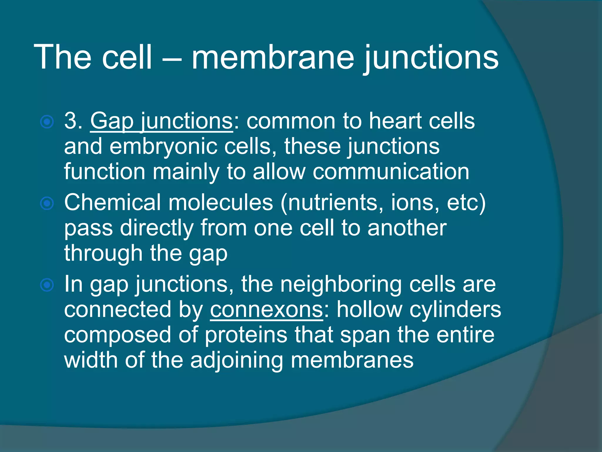 The cell – membrane junctions
 3. Gap junctions: common to heart cells
and embryonic cells, these junctions
function mainly to allow communication
 Chemical molecules (nutrients, ions, etc)
pass directly from one cell to another
through the gap
 In gap junctions, the neighboring cells are
connected by connexons: hollow cylinders
composed of proteins that span the entire
width of the adjoining membranes
 