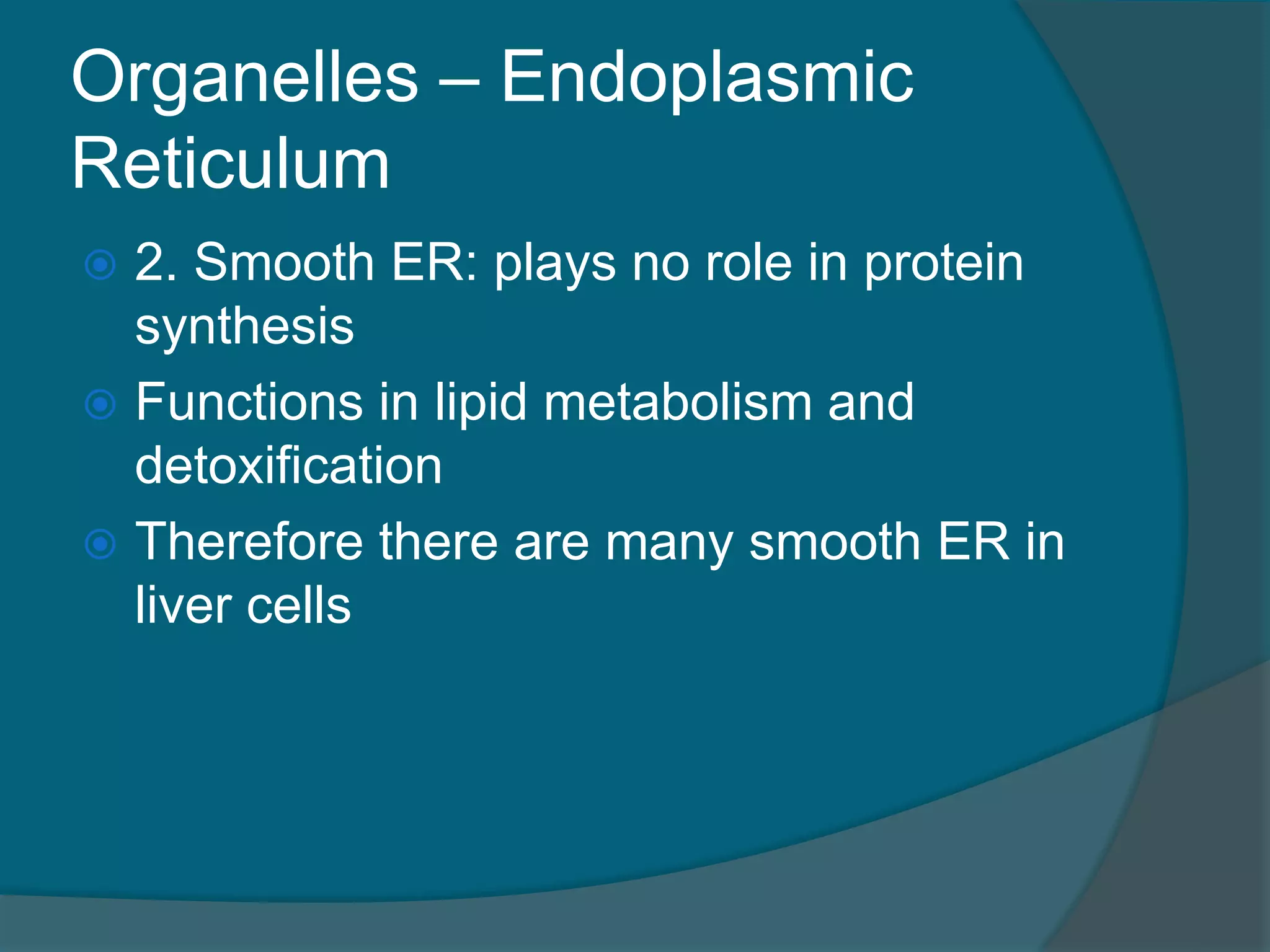Organelles – Endoplasmic
Reticulum
 2. Smooth ER: plays no role in protein
synthesis
 Functions in lipid metabolism and
detoxification
 Therefore there are many smooth ER in
liver cells
 