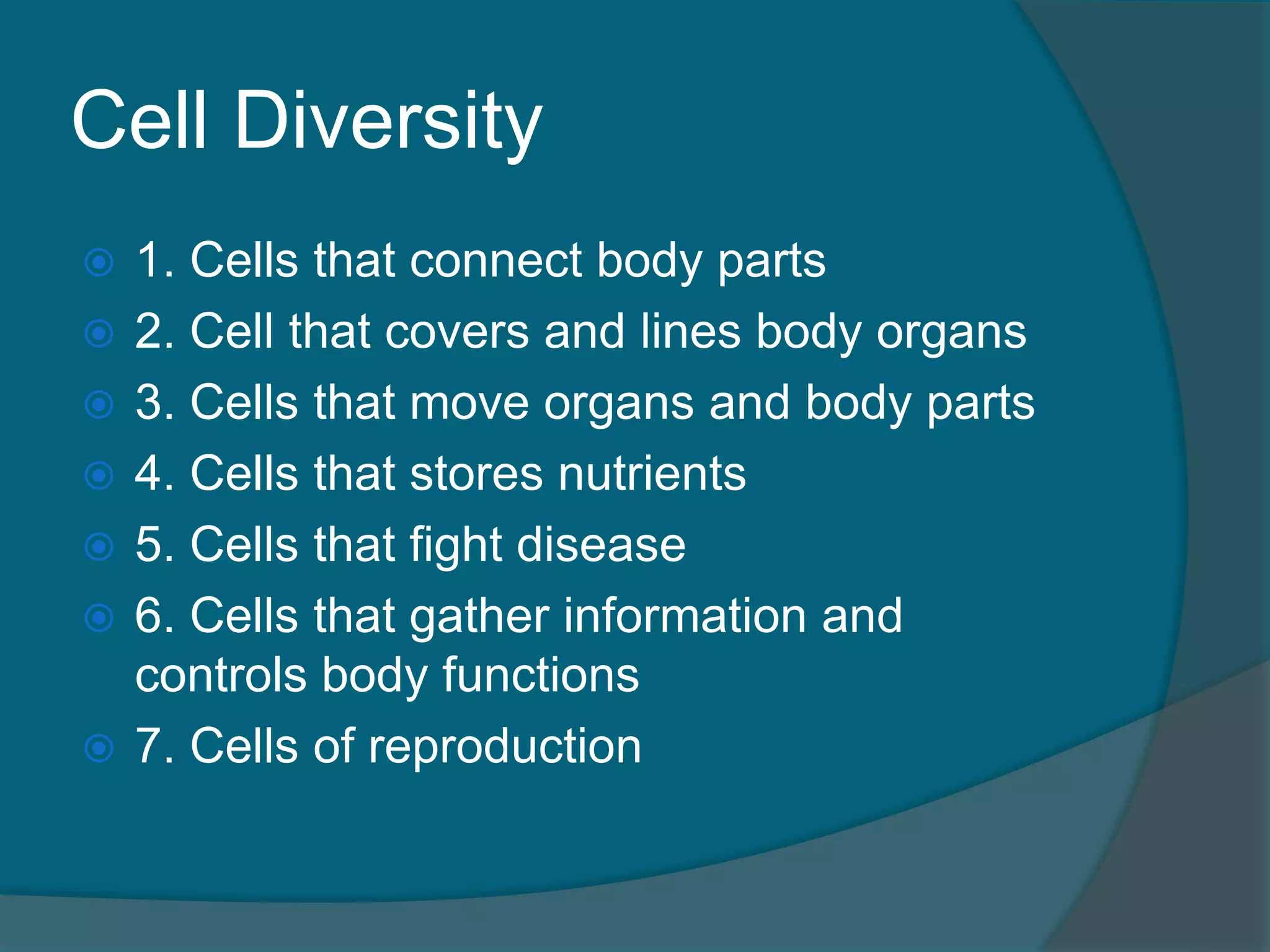 Cell Diversity
 1. Cells that connect body parts
 2. Cell that covers and lines body organs
 3. Cells that move organs and body parts
 4. Cells that stores nutrients
 5. Cells that fight disease
 6. Cells that gather information and
controls body functions
 7. Cells of reproduction
 