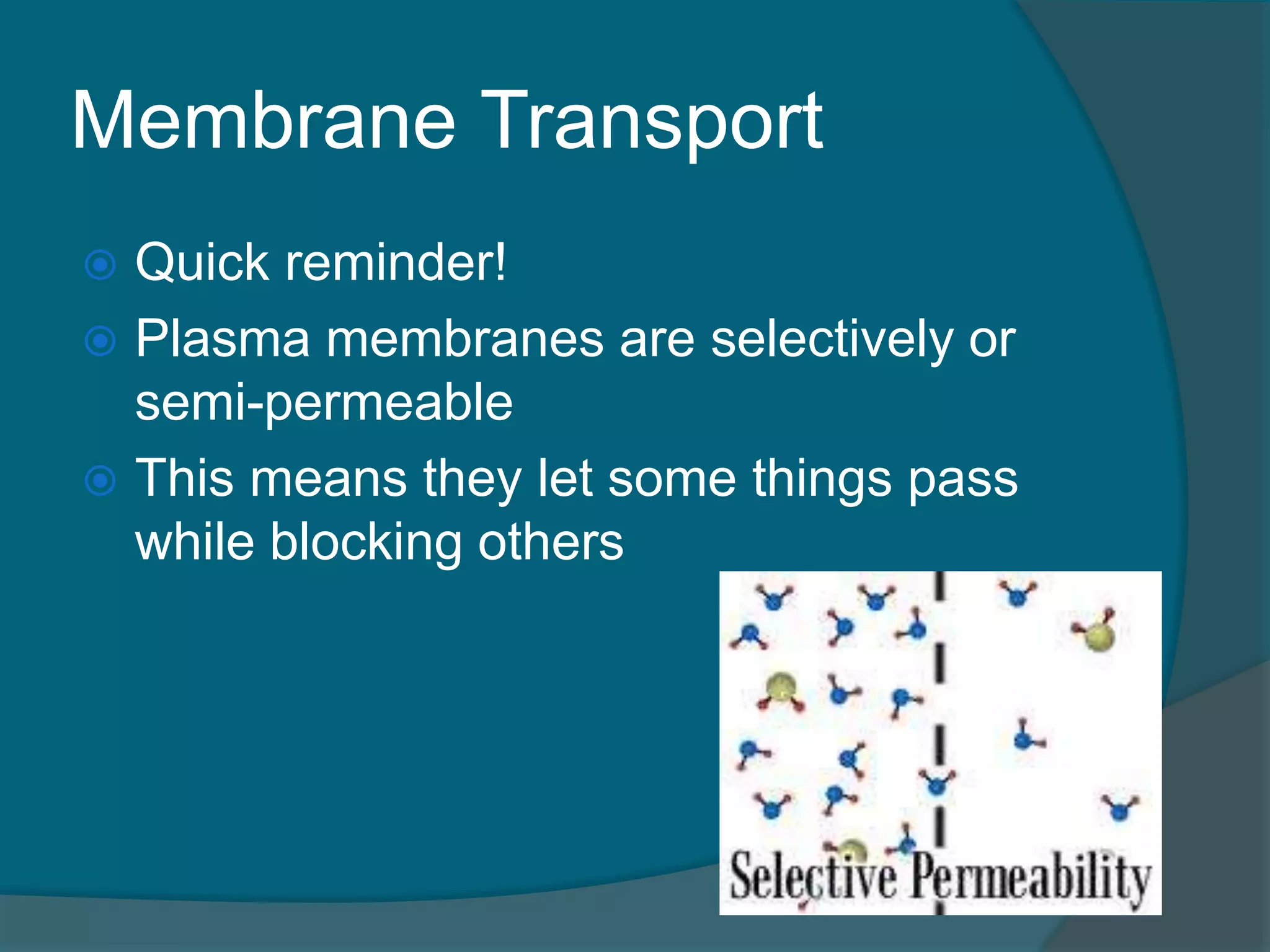 Membrane Transport
 Quick reminder!
 Plasma membranes are selectively or
semi-permeable
 This means they let some things pass
while blocking others
 